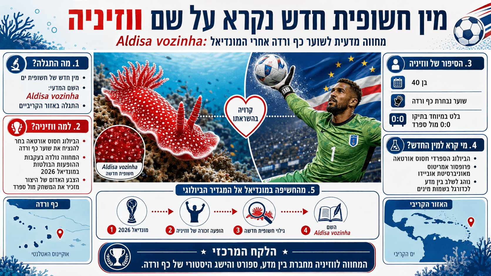 חשופית הים החדשה Aldisa vozinha לצד שוער נבחרת כף ורדה, ווזיניה.