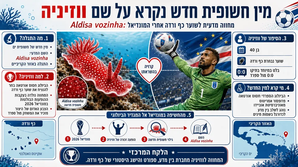 חשופית הים החדשה Aldisa vozinha לצד שוער נבחרת כף ורדה, ווזיניה.