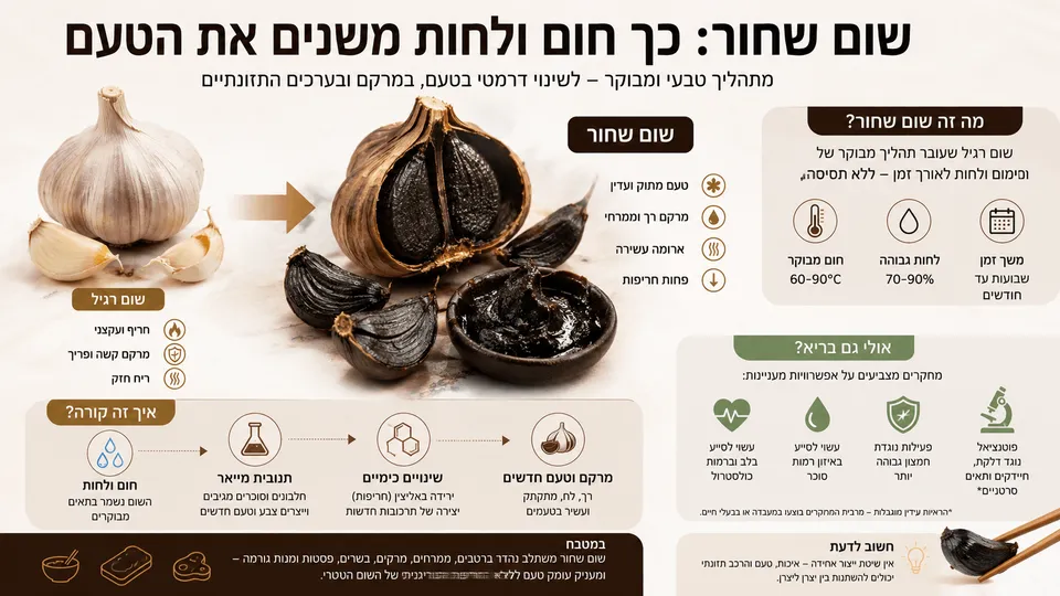 שום טרי לצד שום שחור, בהמחשת השינוי בצבע, במרקם ובטעם לאחר חימום ממושך ולחות מבוקרת.