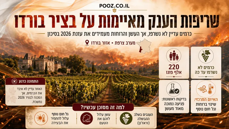 שריפות הענק בבורדו מאיימות על בציר 2026
