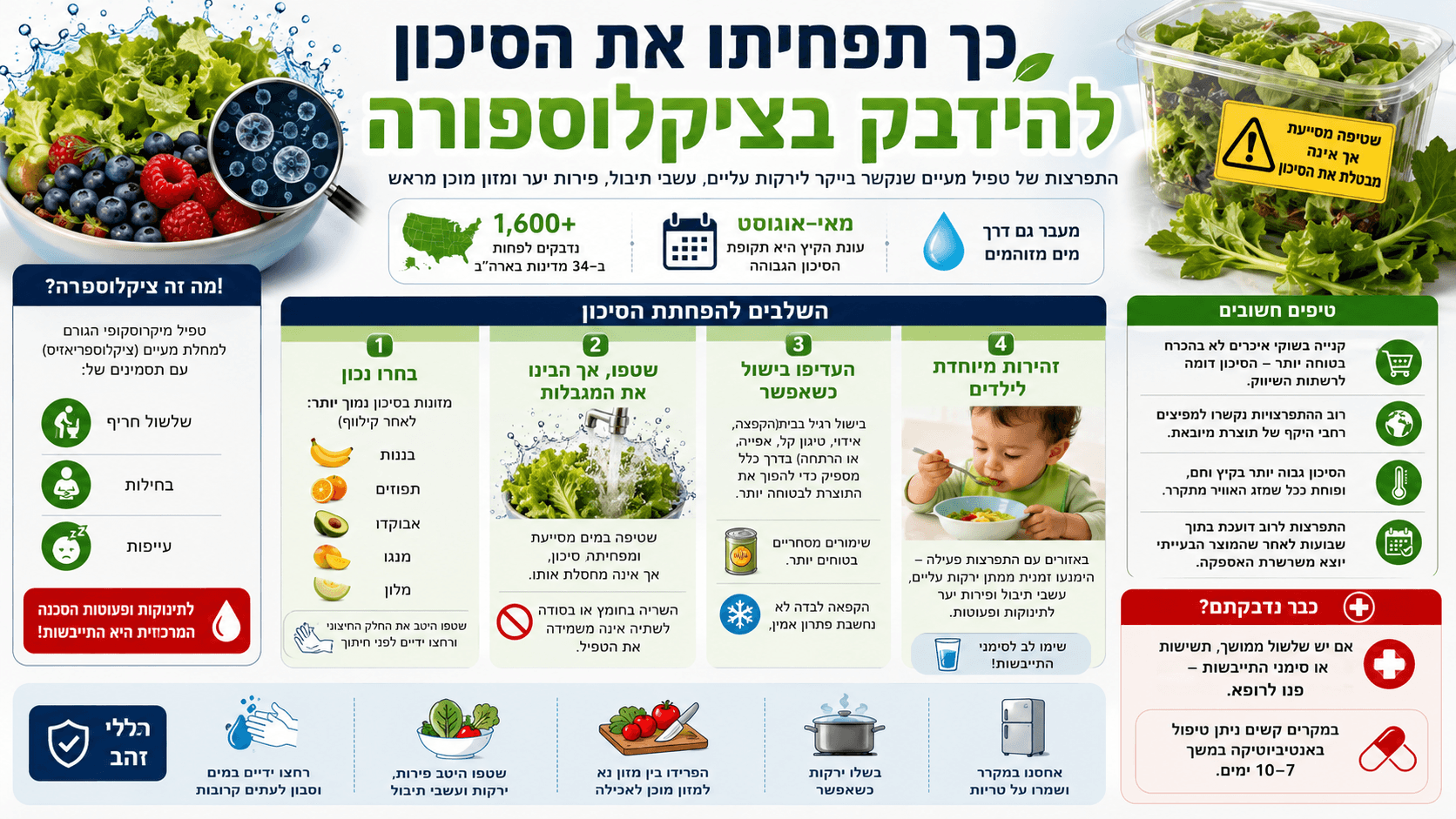 ירקות עליים, פירות יער וסלטים לצד הנחיות לשטיפה, בישול והפחתת הסיכון להידבקות בציקלוספורה.