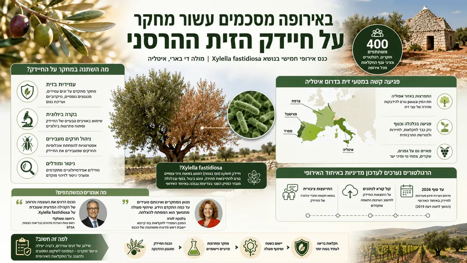 באירופה מסכמים עשור מחקר על חיידק הזית ההרסני