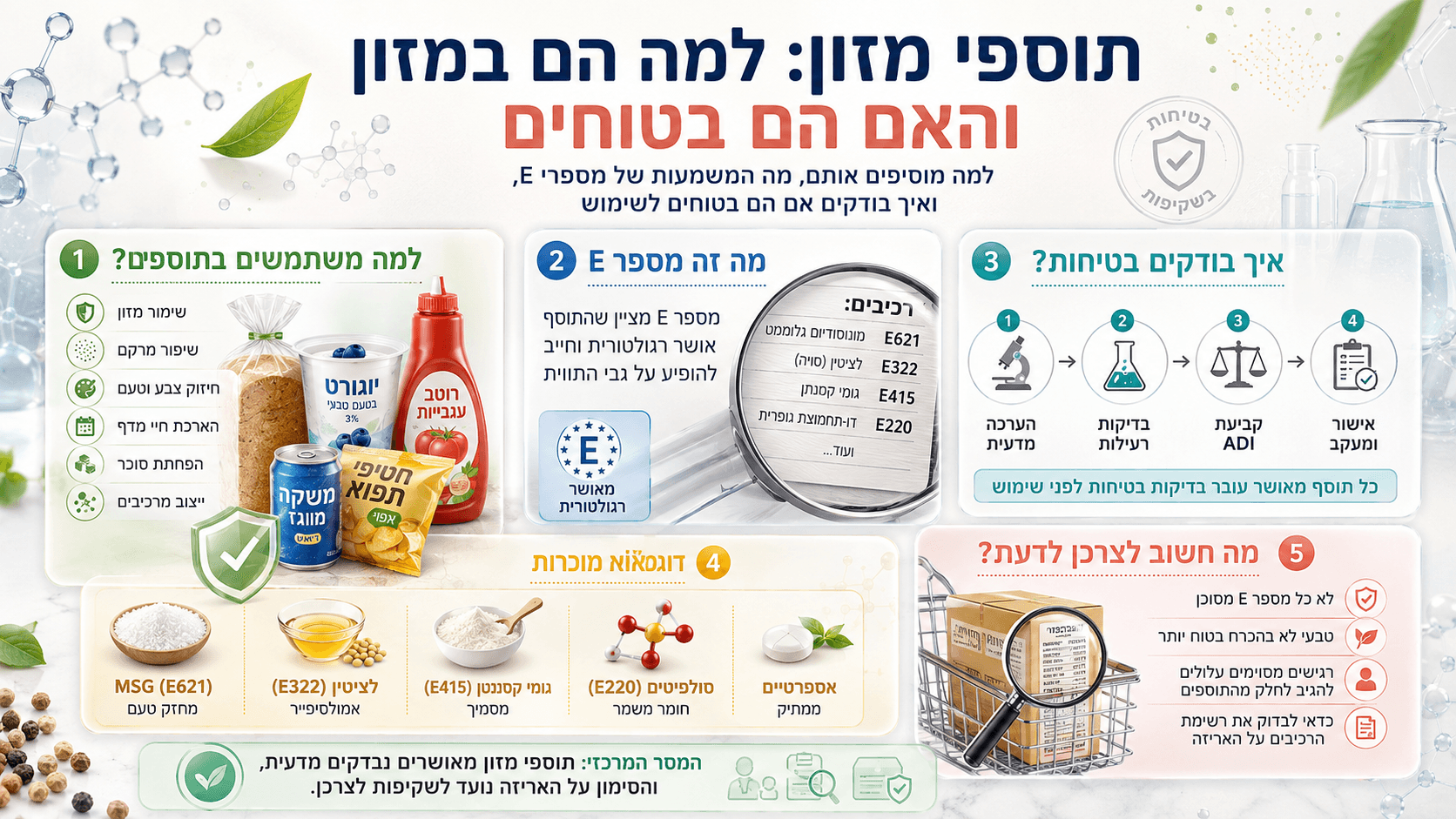 מוצרי מזון נפוצים לצד מספרי E, רכיבי מזון ותהליך בדיקה מדעי להערכת בטיחות תוספים.