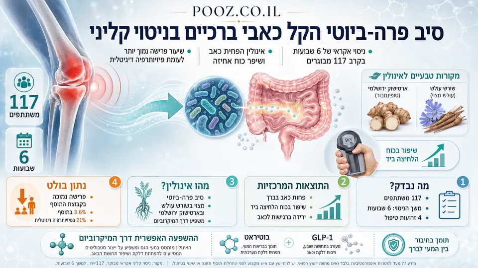 סיב פרה-ביוטי הקל כאבי ברכיים בניסוי קליני