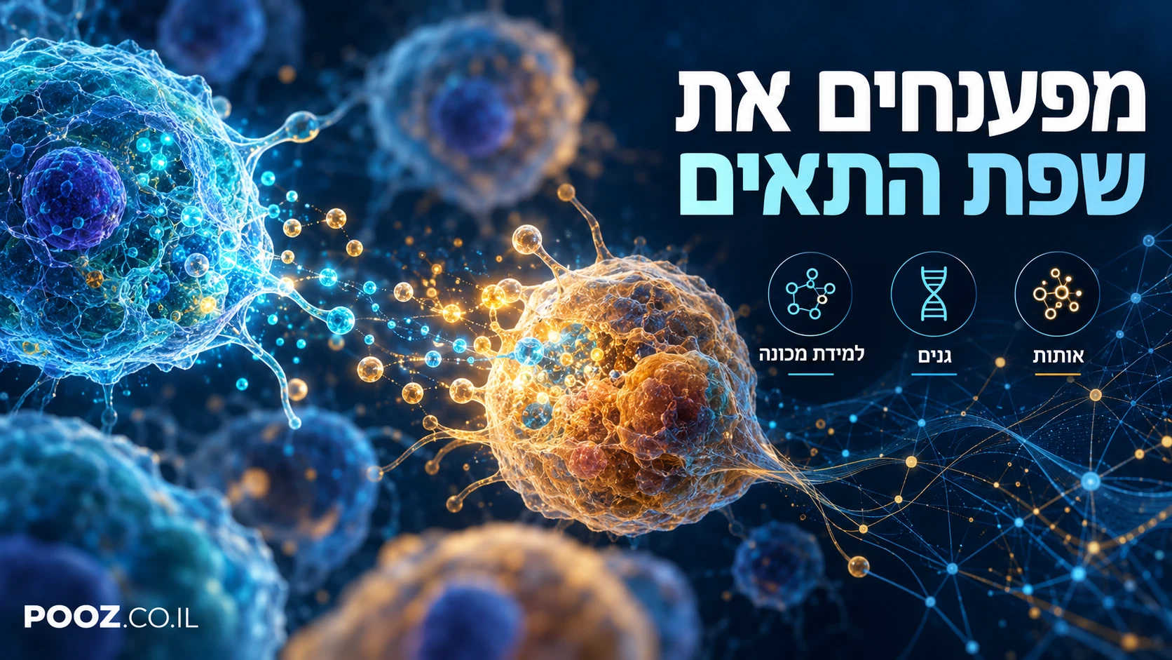 תאים כחולים וכתומים מחליפים חלקיקי איתות זוהרים