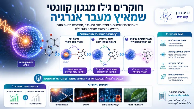 חוקרים גילו מנגנון קוונטי שמאיץ מעבר אנרגיה