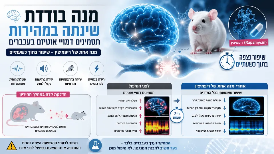מנה בודדת שינתה במהירות תסמינים דמויי אוטיזם בעכברים