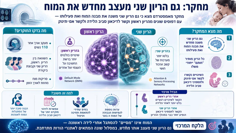 המחשה של שינויים במוח לאחר הריון ראשון ושני והקשר לקשב, קשר אם־תינוק ודיכאון סביב הלידה.